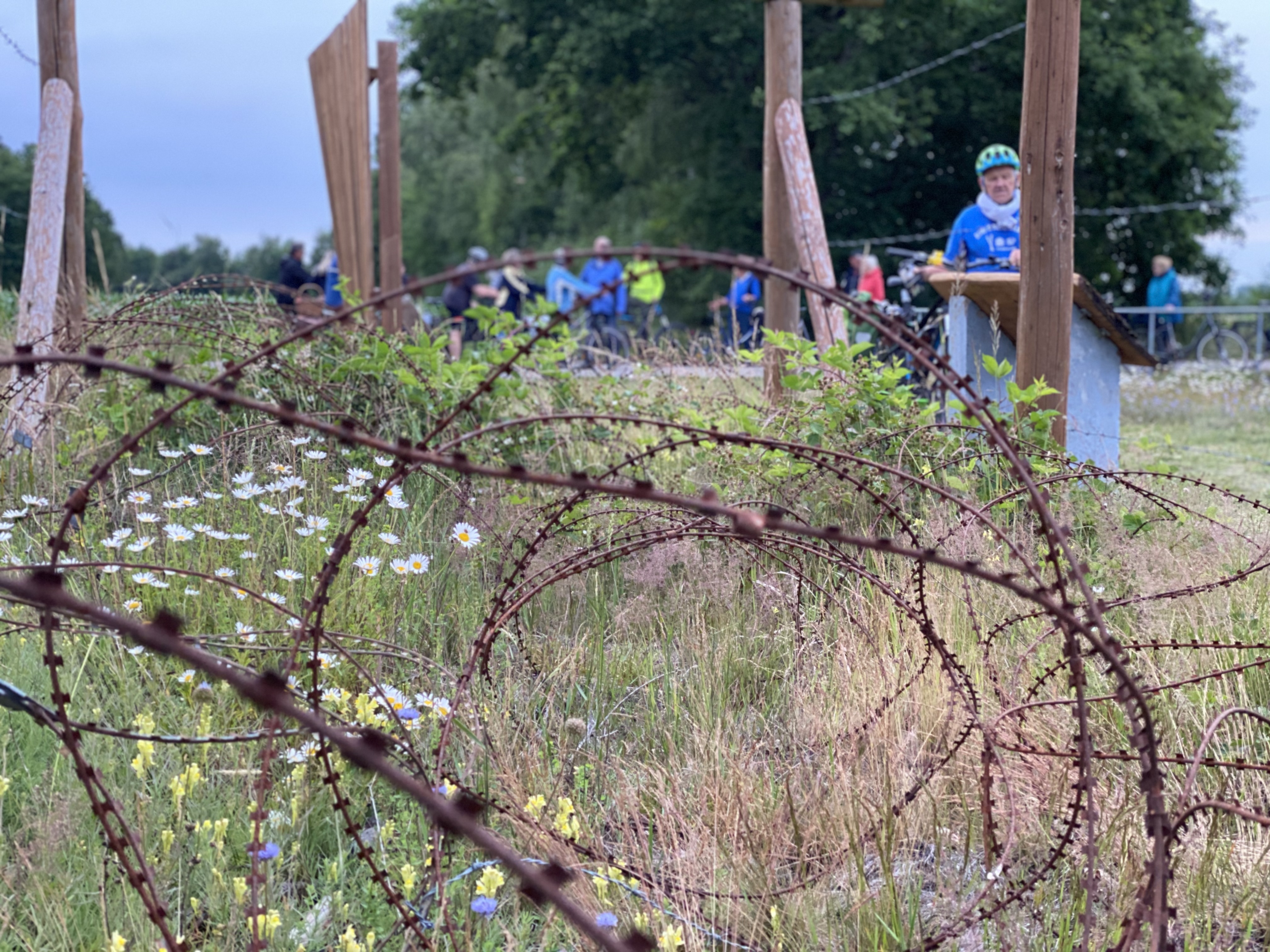 Verrosteter Stacheldraht liegt auf einer Wiese.