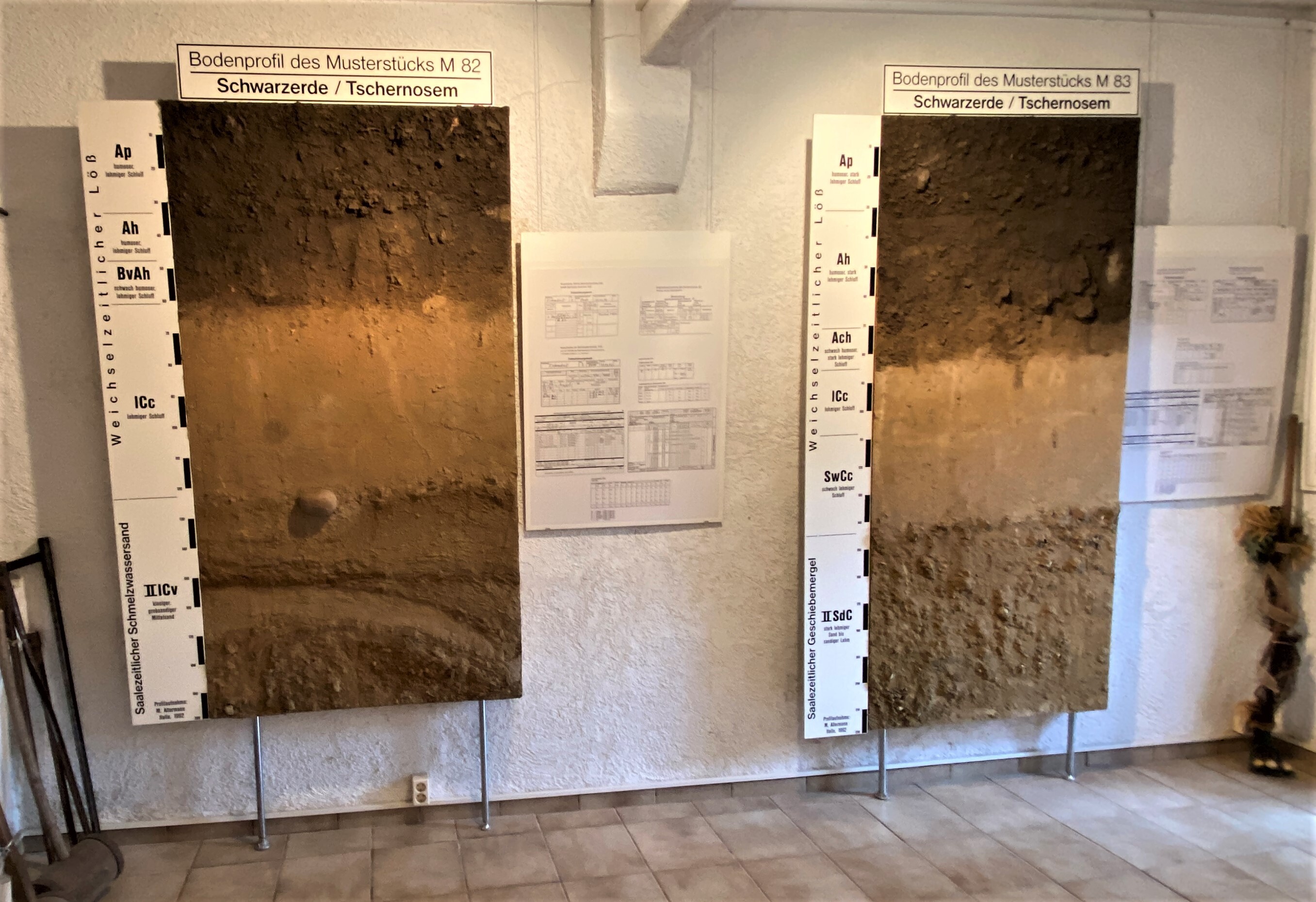 Bodenprofile M82 und M83. Zwei Fotografien von Bodenstücken hängen an der Wand. Die genauen Bezeichnungen werden an der Seite angezeigt.
