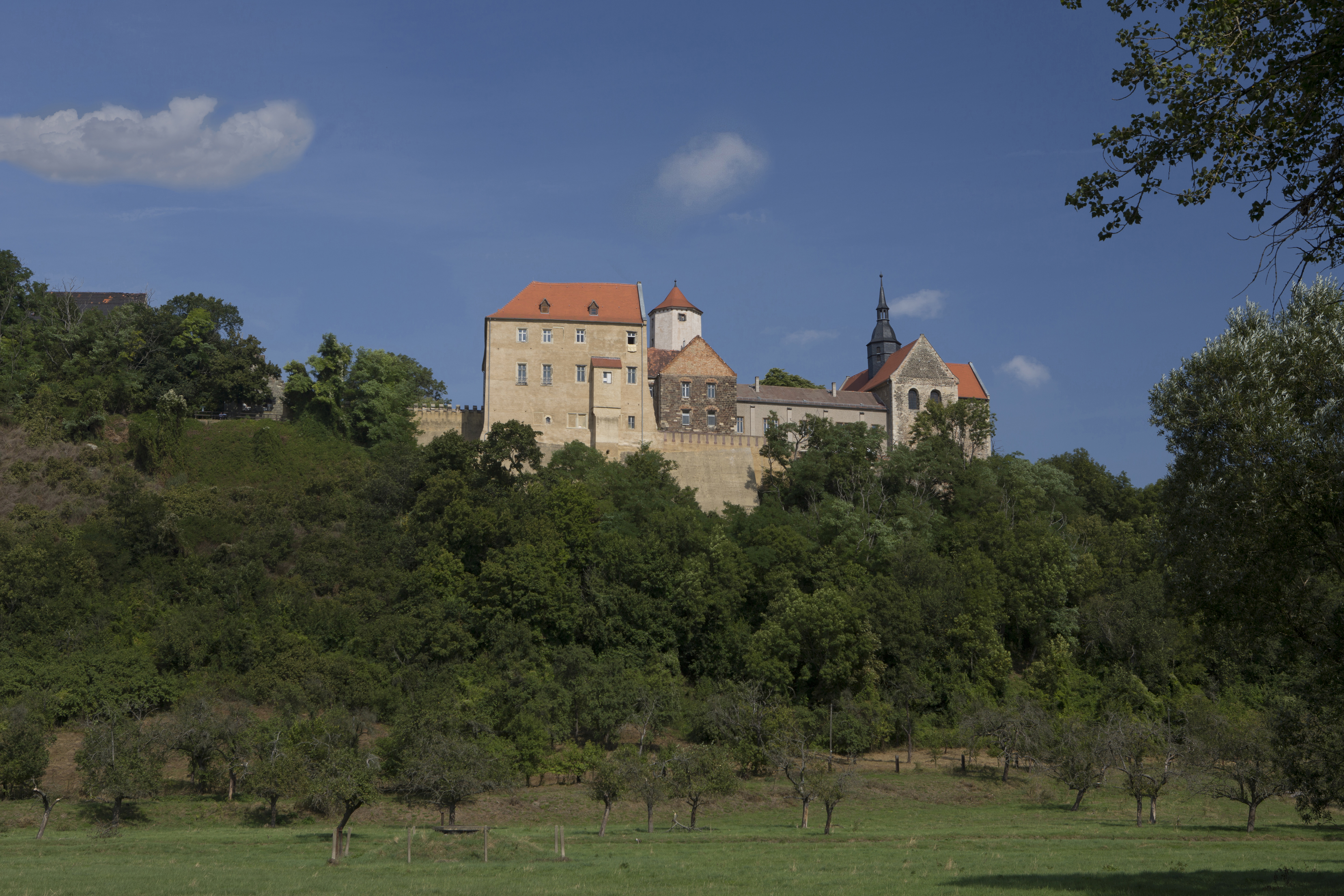Schloss Goseck Gesamtansicht. Das Schloss wird aus der Ferne zwischen grünen Bäumen gezeigt.
