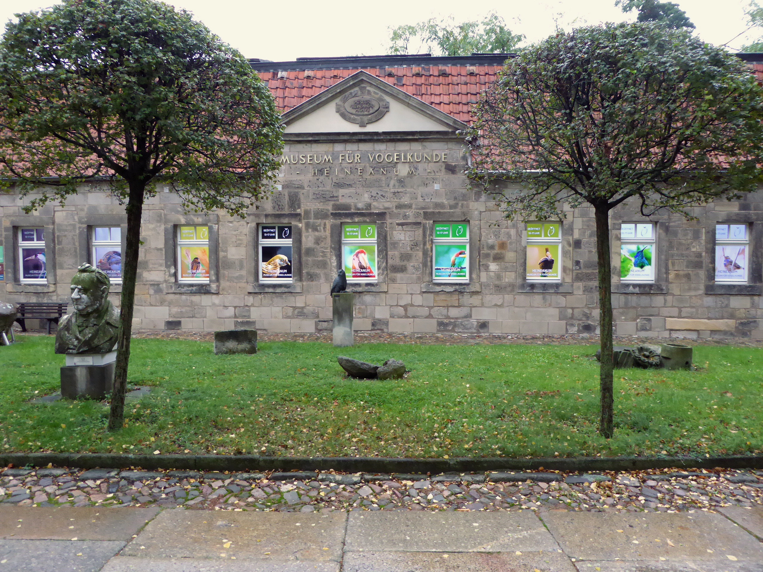 Außenansicht des Heineanums. Die Fenster der grauen Steinfassade sind ausgeschmückt mit bunten Fotografien von diversen Vögeln. Davor stehen kleine Bäume und die Büste eines Mannes auf einer Wiese.