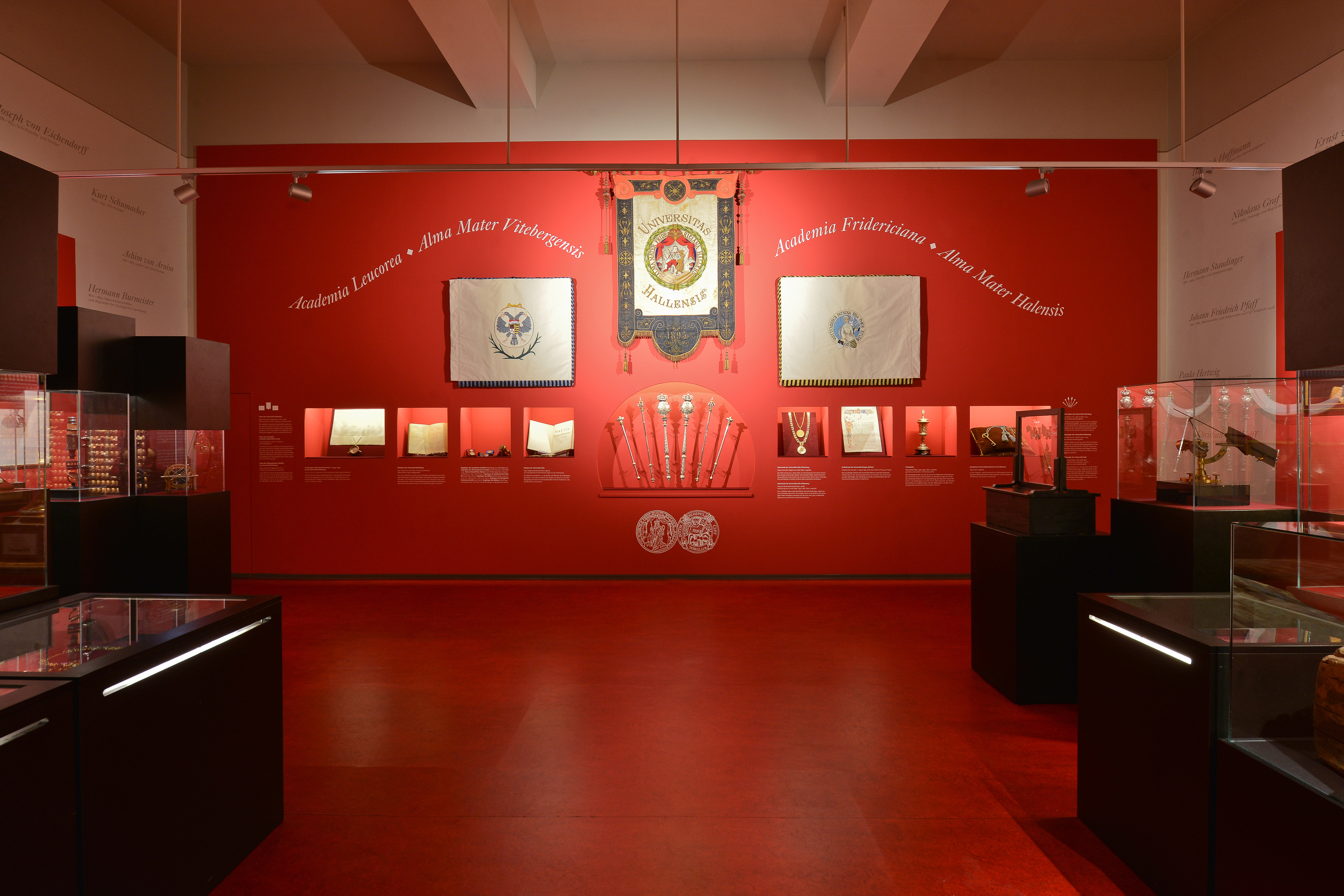 In der Dauerausstellung hängen drei große Flaggen an einer einer roten Wand. In Wandvitrinen werden Zepter, Urkundenbücher und Orden präsentiert. In Standvitrinen werden weitere wichtige Objekte der Universitätshistorie gezeigt.