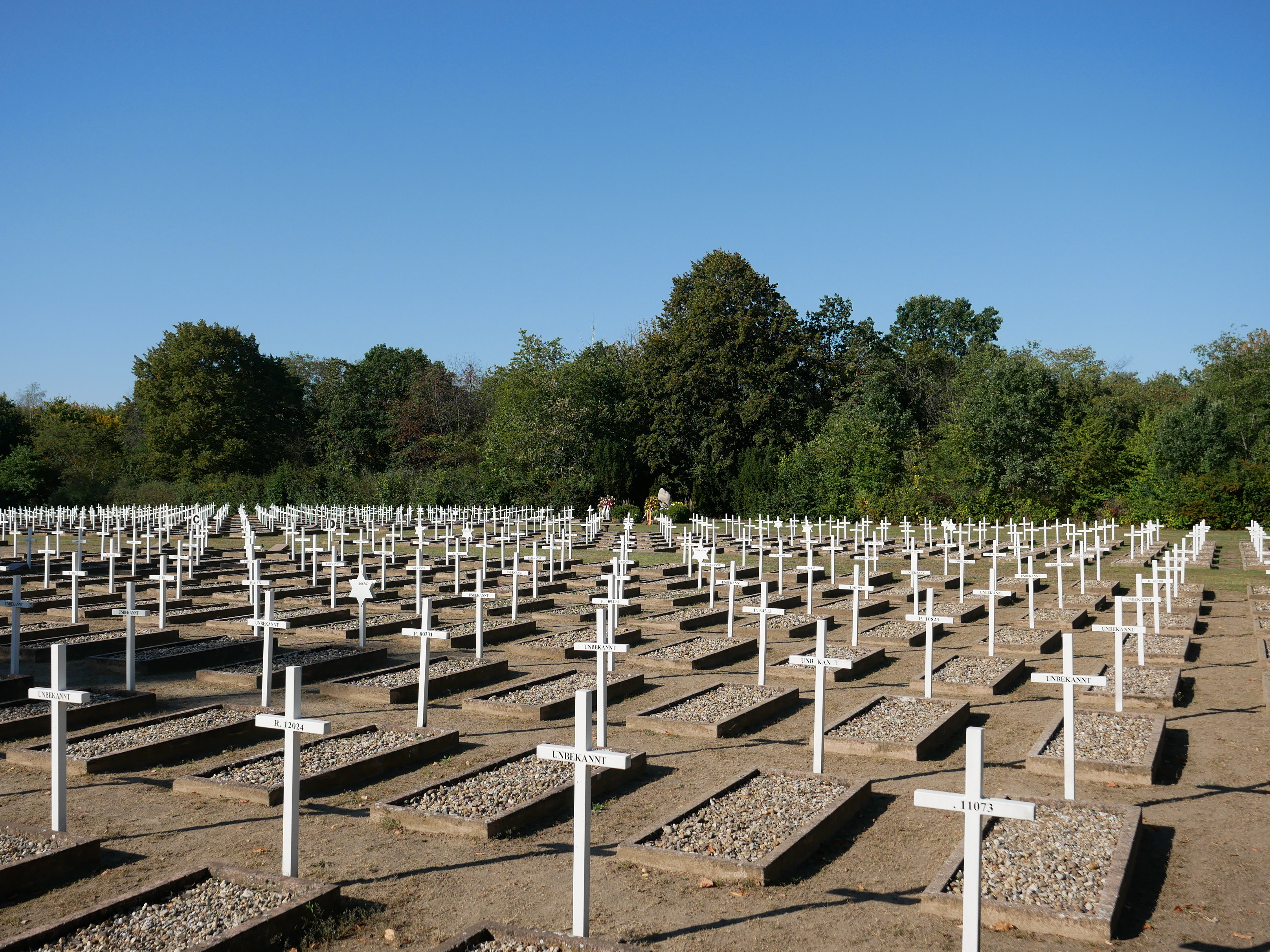 Der Ehrenfriedhof für die Ermordeten des Massakers von Gardelegen. Weiße Kreuze mit Aufschriften von Ziffern oder der Bezeichnung "Unbekannt" ragen über die Gräber. Im Hintergrund befindet sich ein Wald.