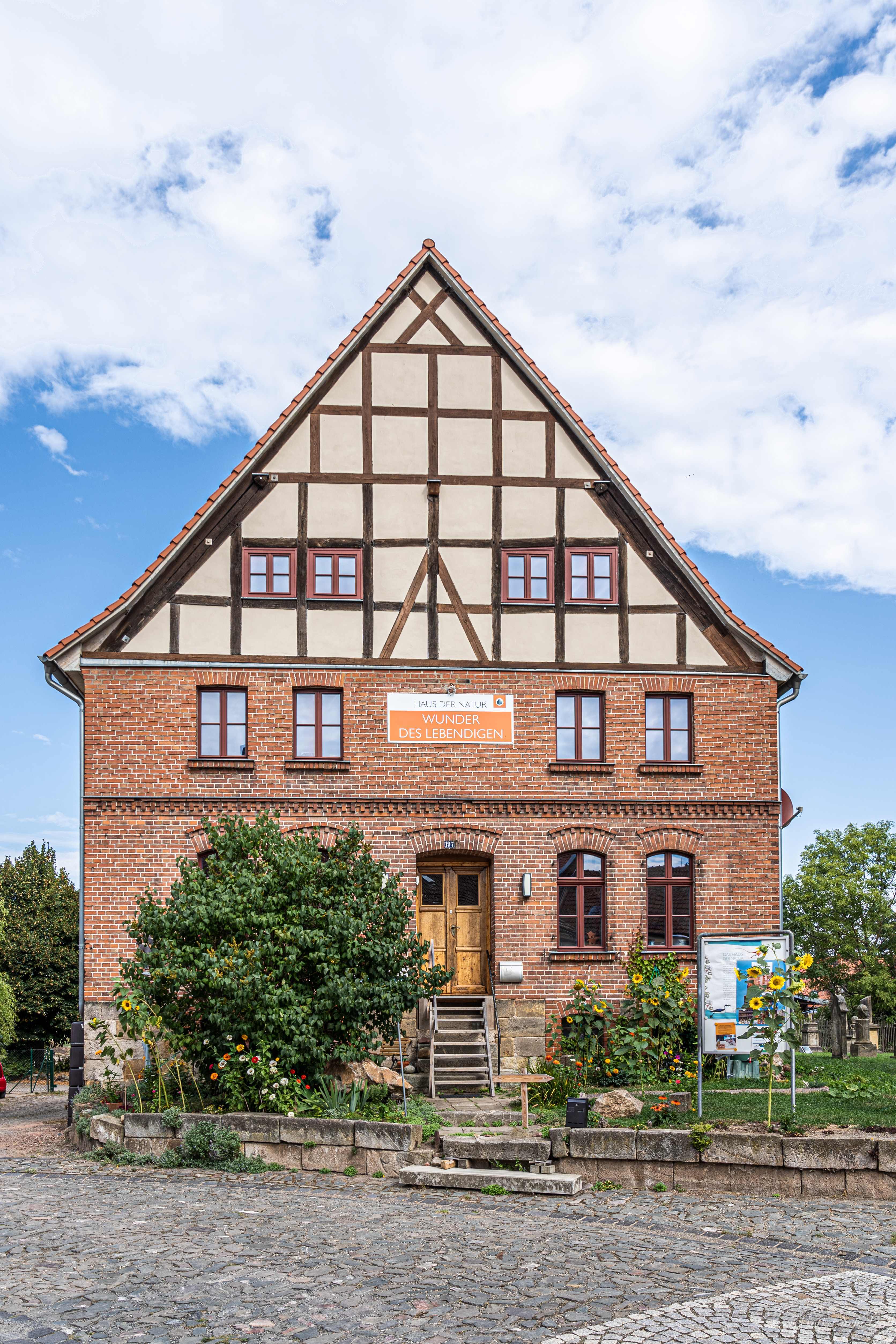 Das Haus der Natur ist ein roter Backsteinbau. Der Giebel besteht aus Fachwerk mit hellen Fächern. Vor dem Haus wachsen Sonnenblumen und ein großer Busch.