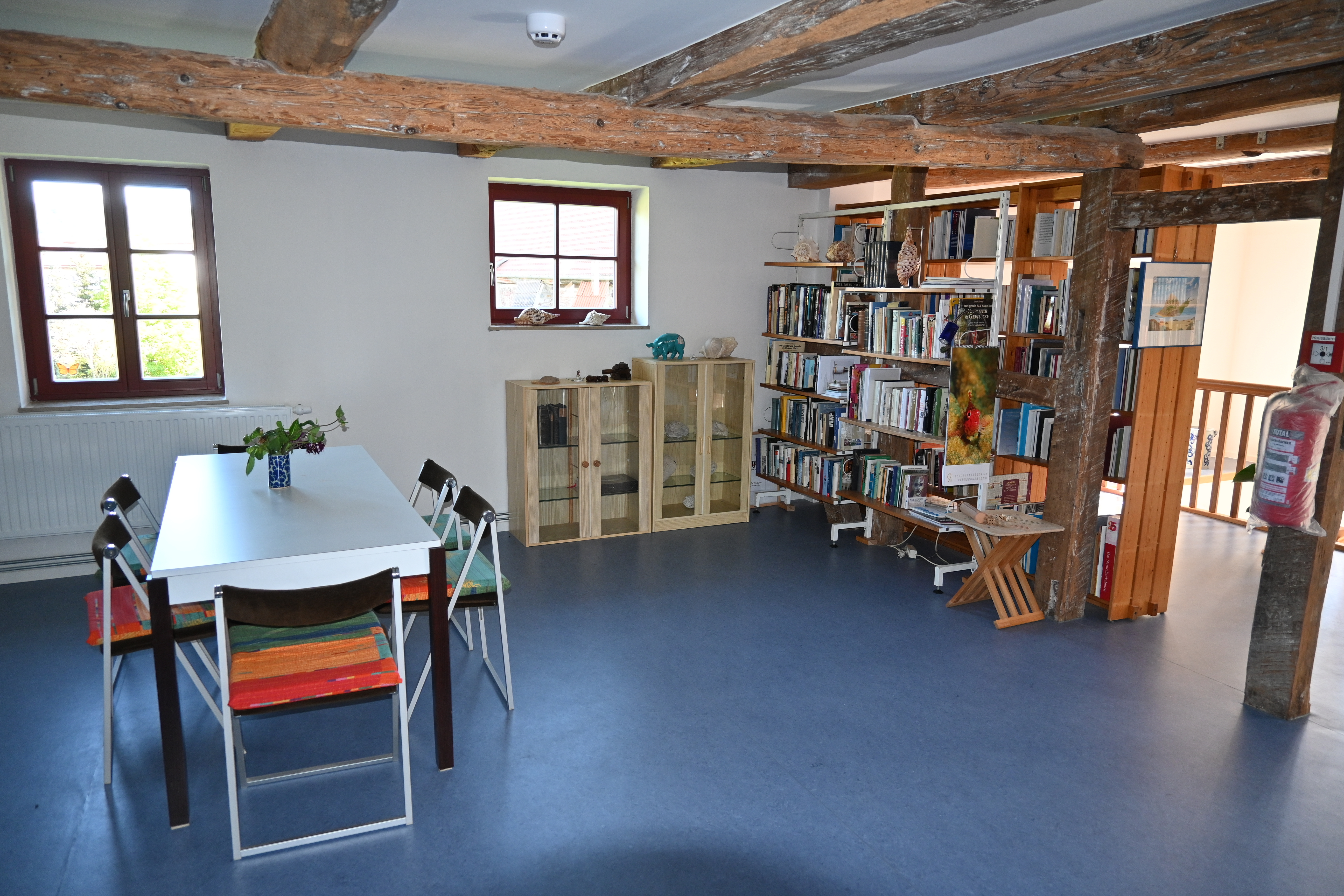 Auf dem blauen Boden der Bibliothek steht ein schmaler weißer Tisch mit sechs schwarzen Stühlen. An einer Wand dahinter befindet sich eine Vitrine mit Fossilien und Mineralien. In einem großen Holzregal befinden sich zahlreiche Bücher.