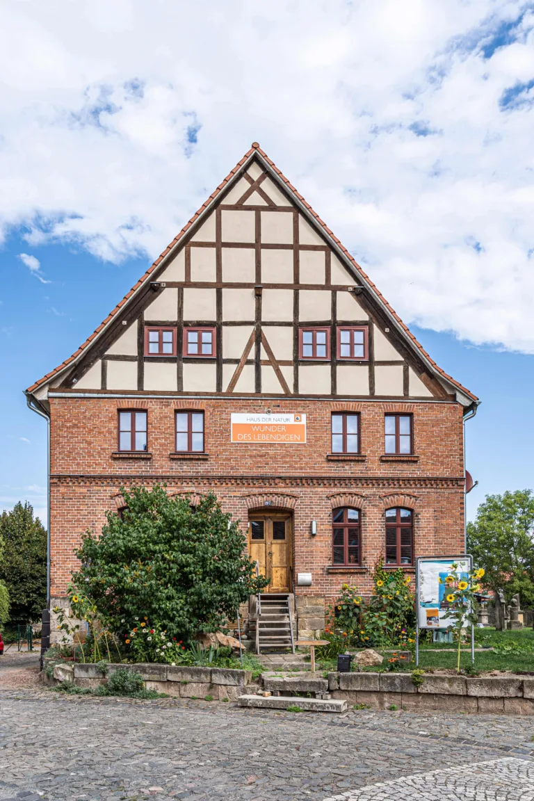 Das Haus der Natur ist ein roter Backsteinbau. Der Giebel besteht aus Fachwerk mit hellen Fächern. Vor dem Haus wachsen Sonnenblumen und ein großer Busch.