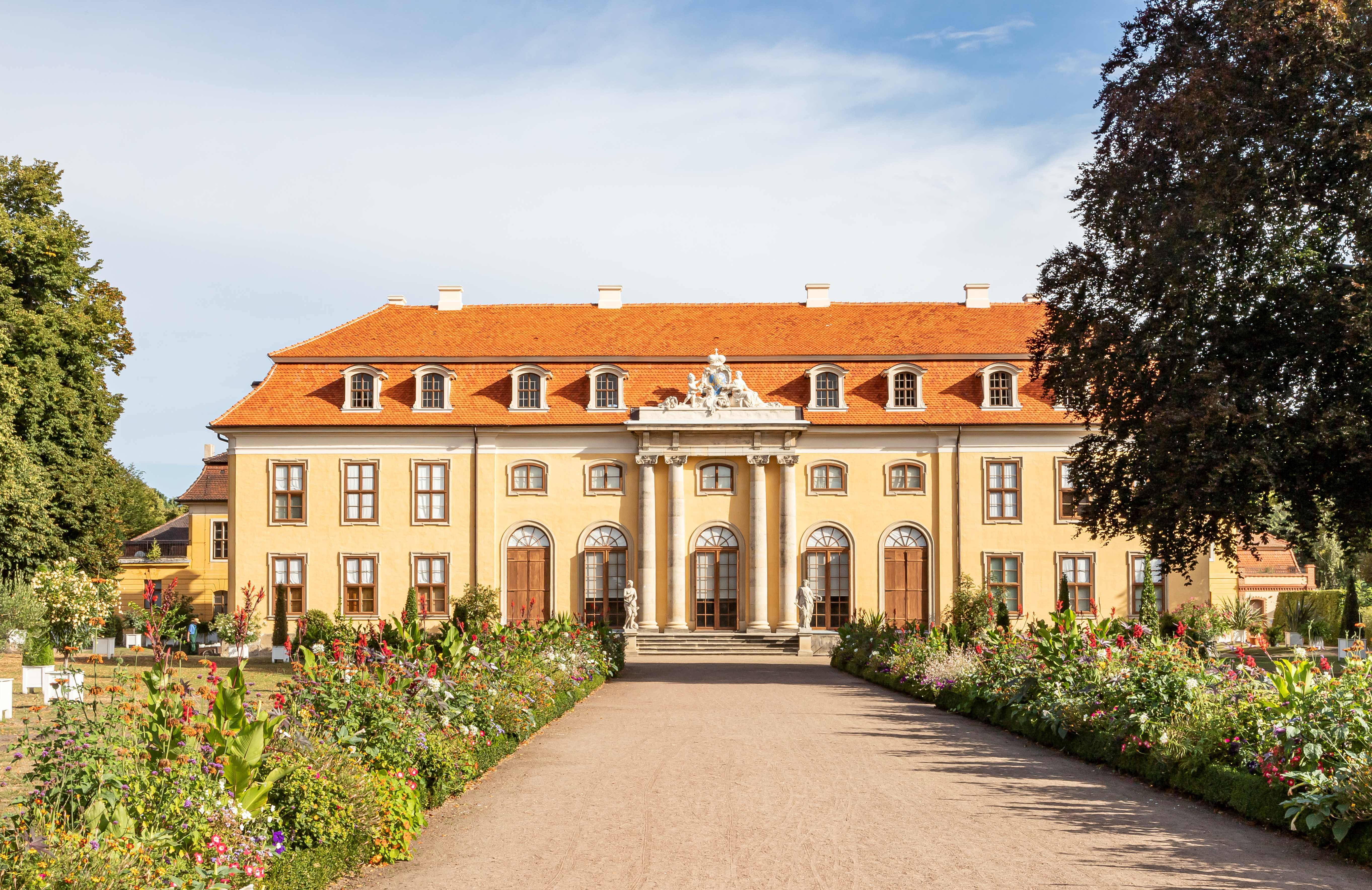 Schloss Mosigkau von Außen. Eine Zufahrt führt direkt auf den Eingangsbereich des Schlosses zu. Die Fassade des Schlosses ist gelb. Auf der Treppe vor der Tür stehen zwei weiße Skulpturen.