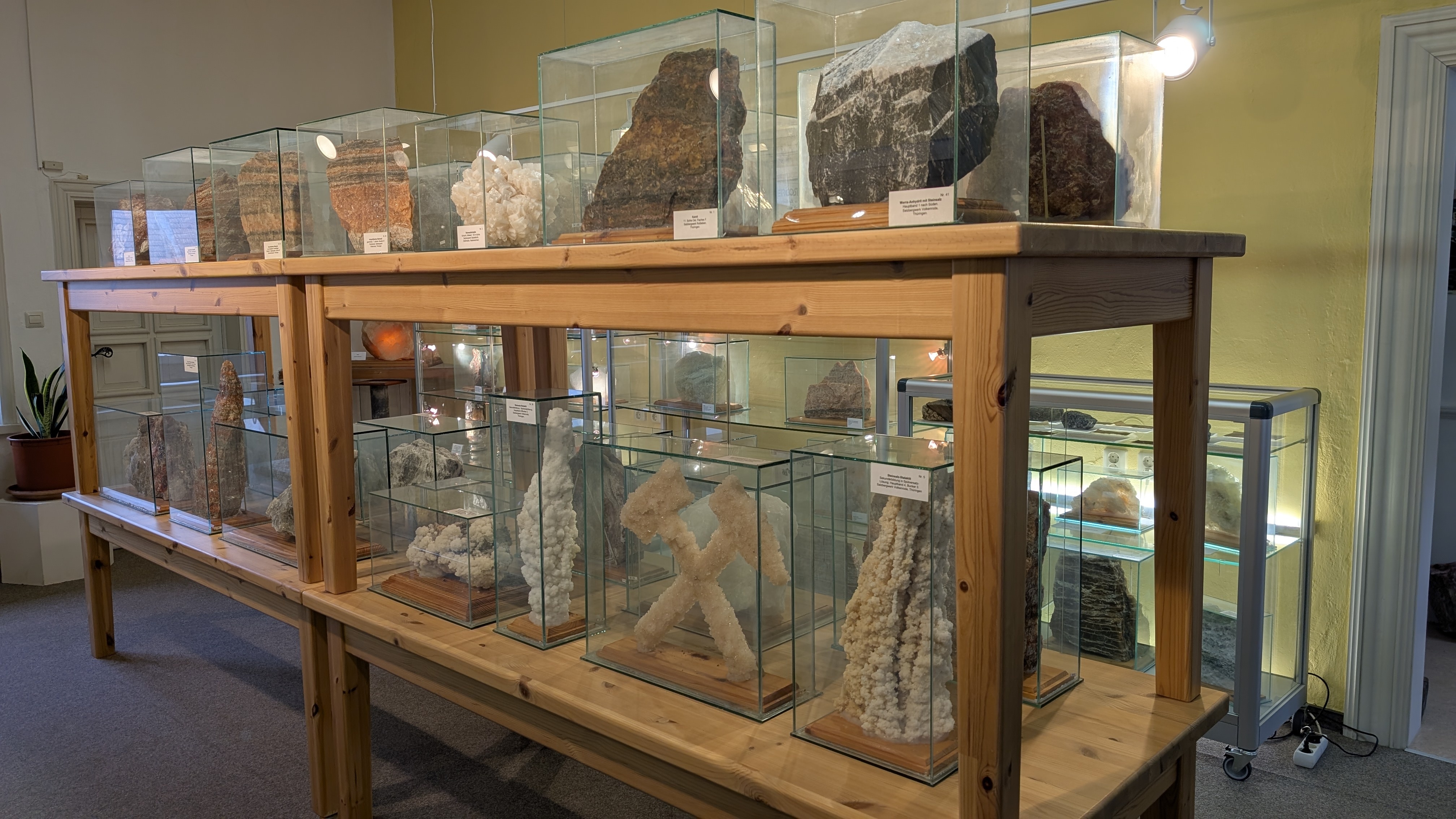 In einem Holzgestell werden in zwei Etagen verschiedene Mineralien unter einzelnen Glaskästen gezeigt. Darunter befinden sich auch zwei gekreuzte Hammer, welche zu Salzkristallen wurden.