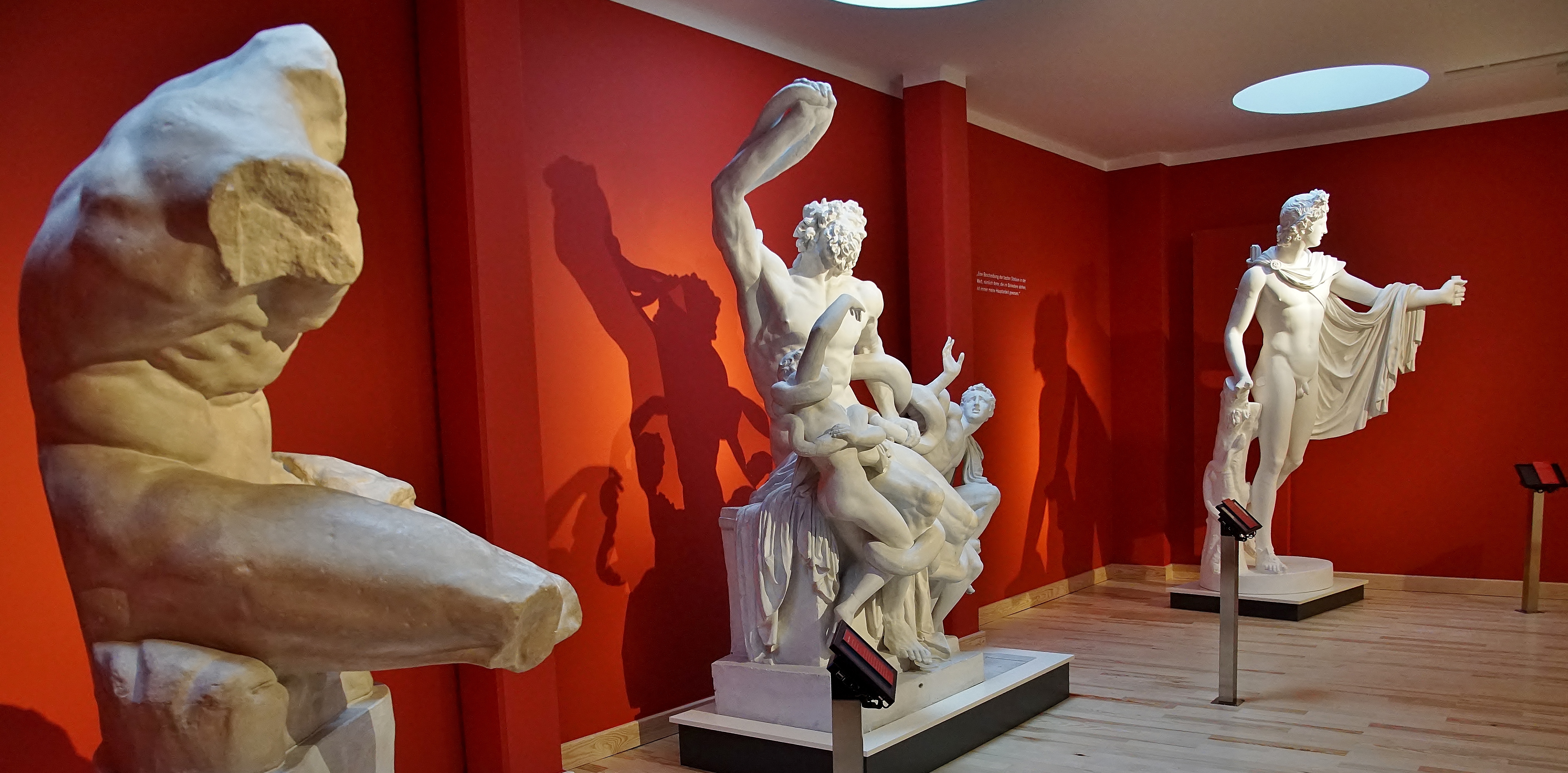 Winckelmann-Ausstellung: weiße Nachbildungen der Statuen der Laokoongruppe, des Torso und des Apolls stehen vor einer roten Wand.