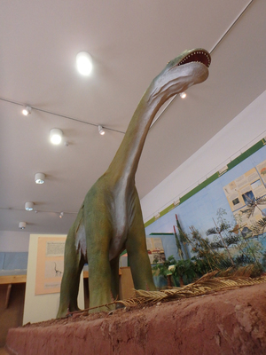 Europasaurus (Foto: Karisch)